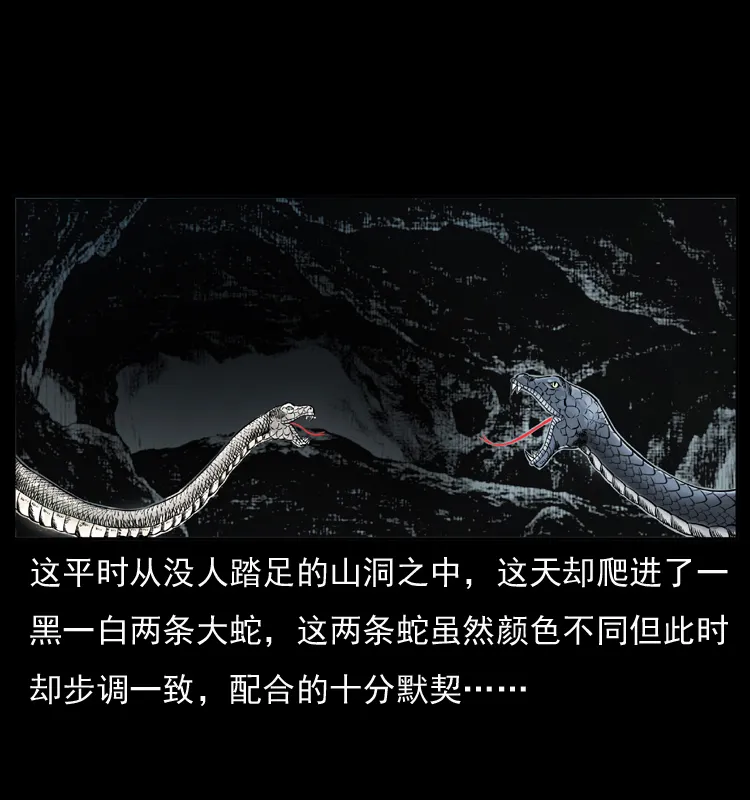 049 刨尸狗传奇2 第3页