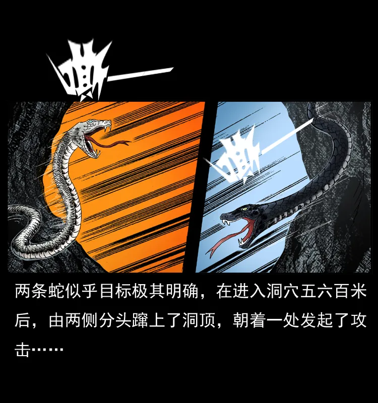 049 刨尸狗传奇2 第4页
