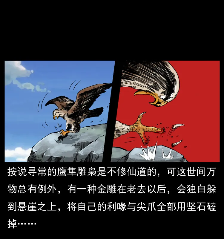 049 刨尸狗传奇2 第12页