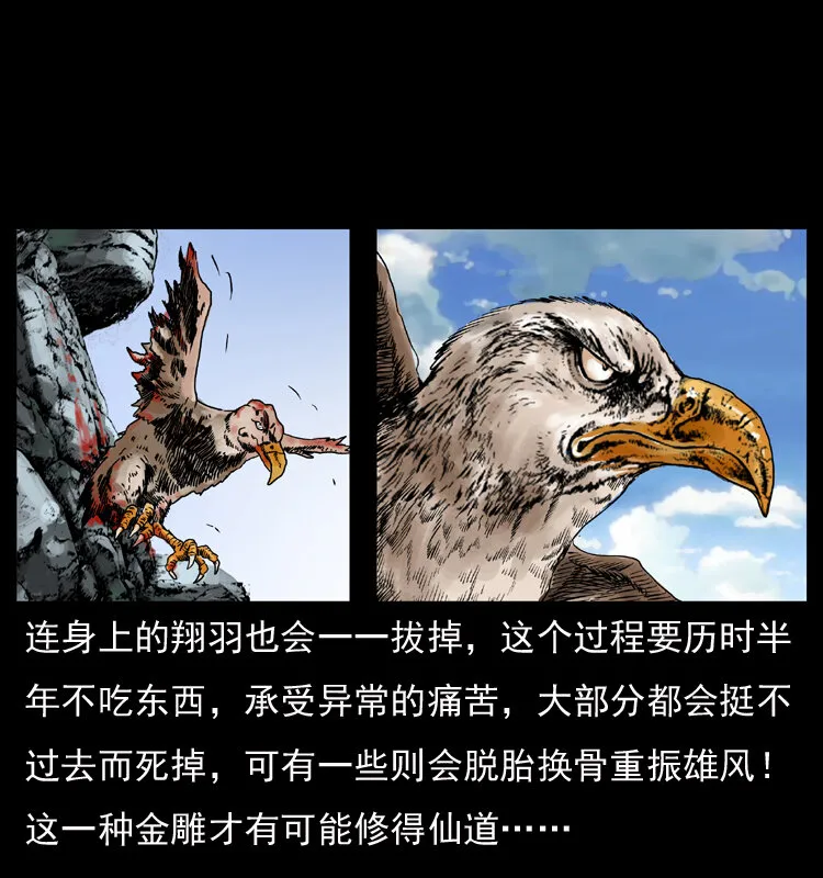 049 刨尸狗传奇2 第13页
