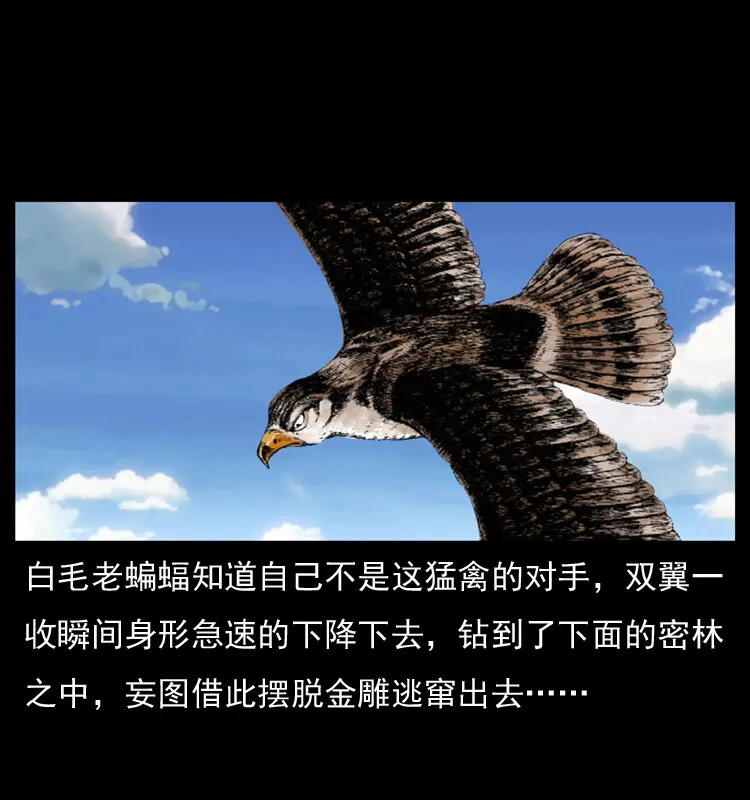 049 刨尸狗传奇2 第17页