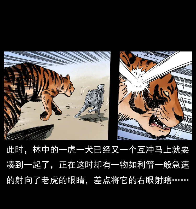 049 刨尸狗传奇2 第35页