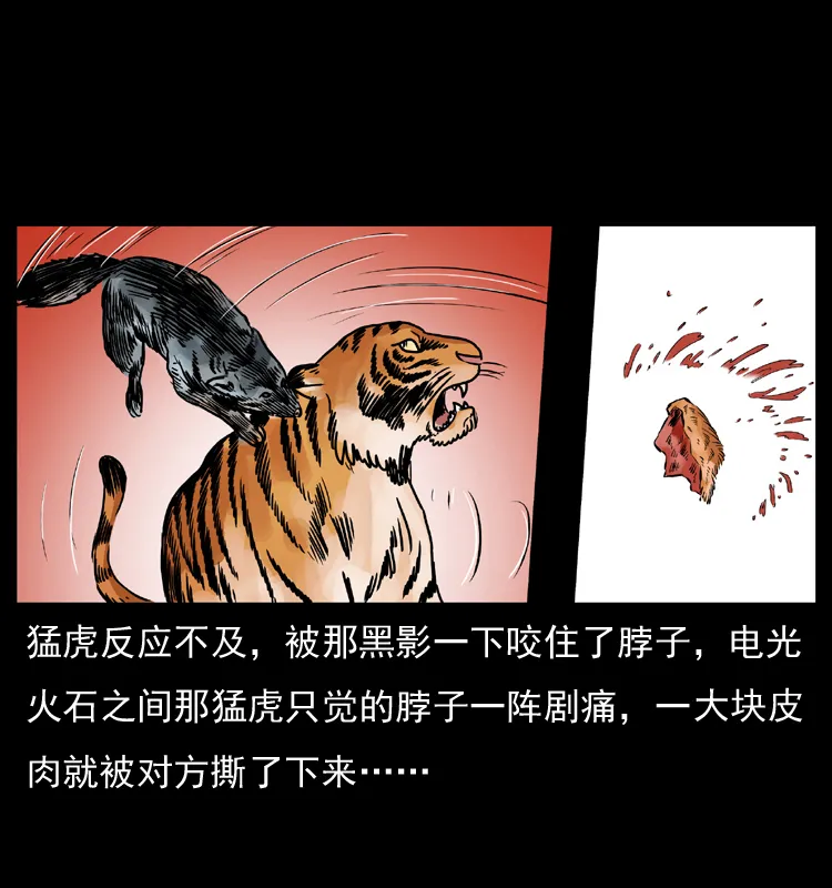 049 刨尸狗传奇2 第41页