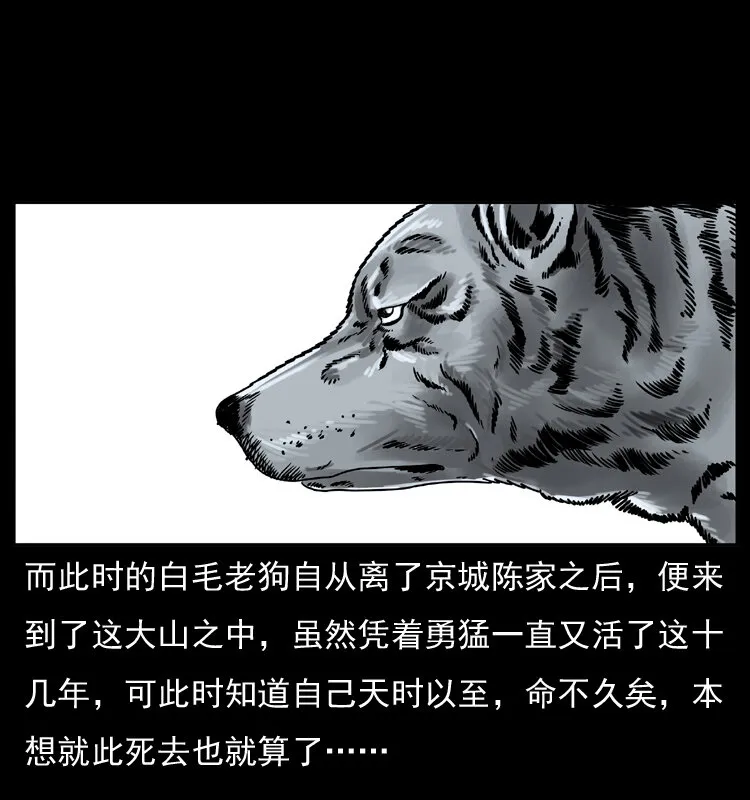 049 刨尸狗传奇2 第59页