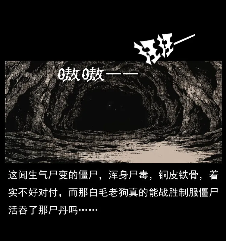 049 刨尸狗传奇2 第72页