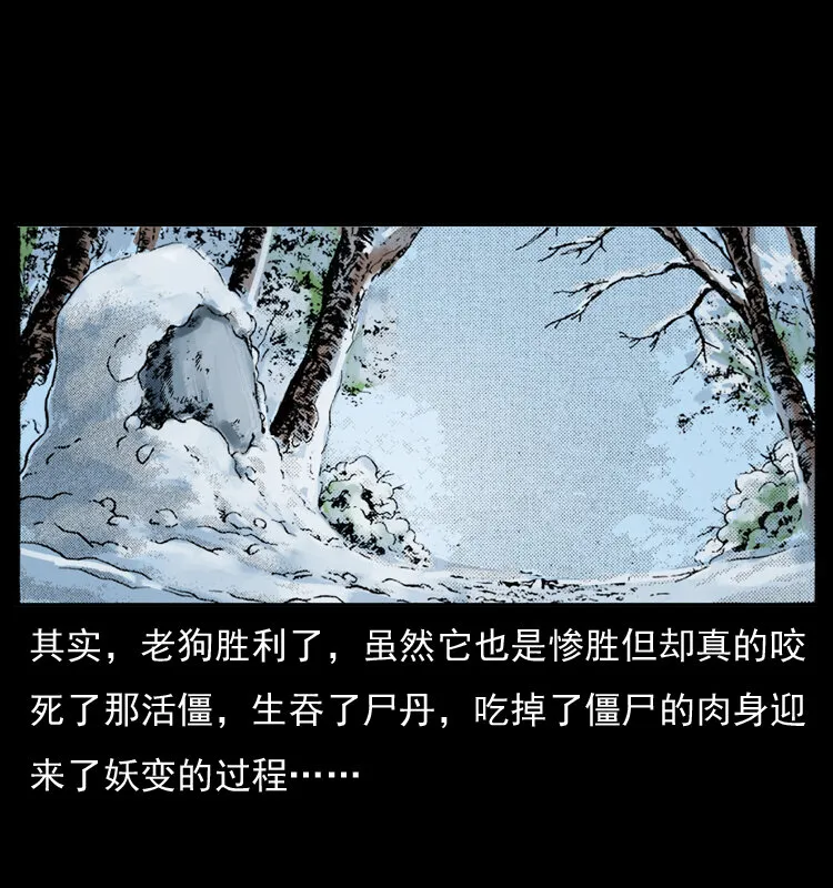 049 刨尸狗传奇2 第74页