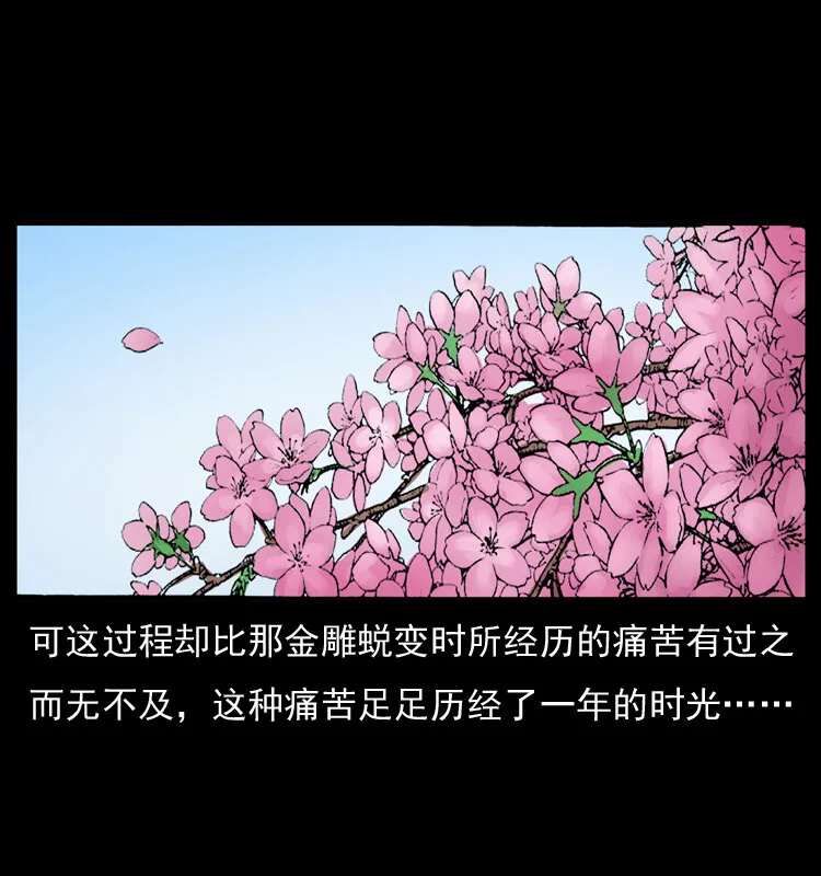 049 刨尸狗传奇2 第75页