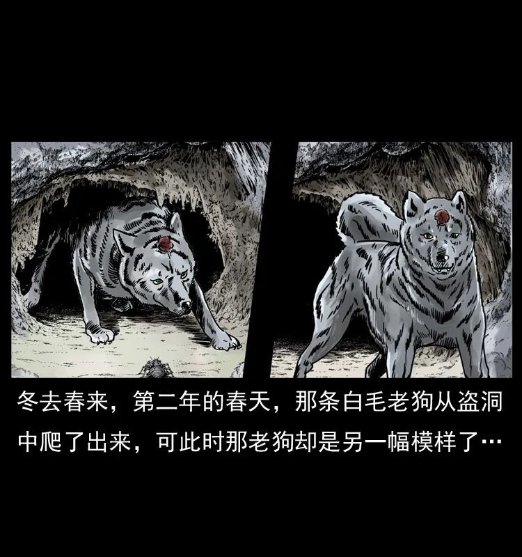 049 刨尸狗传奇2 第76页