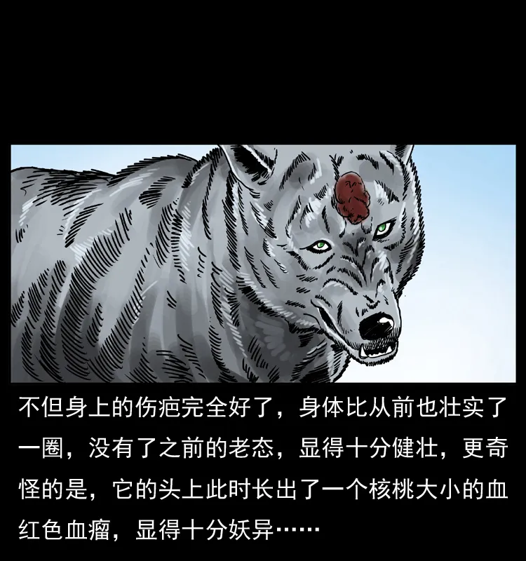 049 刨尸狗传奇2 第77页