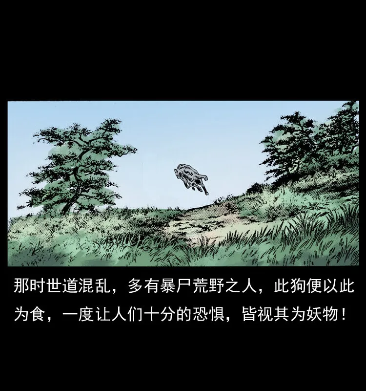 049 刨尸狗传奇2 第79页