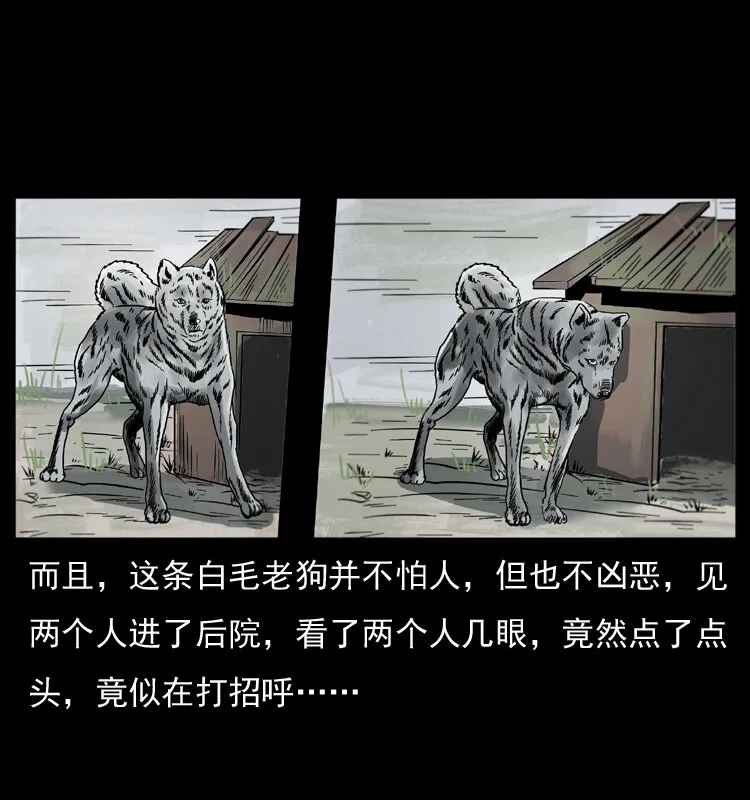 048 刨尸狗传奇1 第22页
