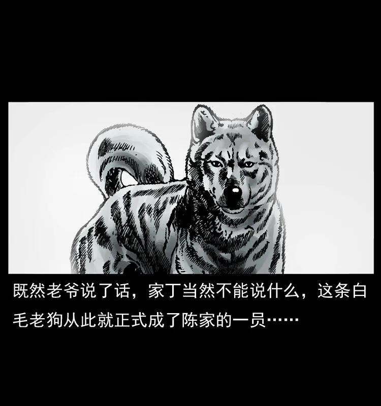 048 刨尸狗传奇1 第25页