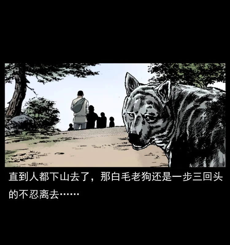 048 刨尸狗传奇1 第34页
