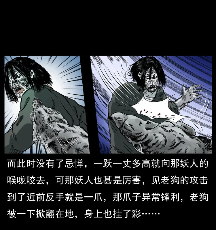 048 刨尸狗传奇1 第51页
