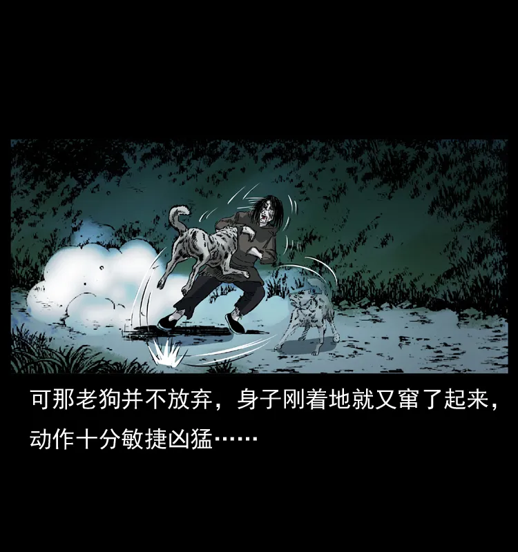 048 刨尸狗传奇1 第52页