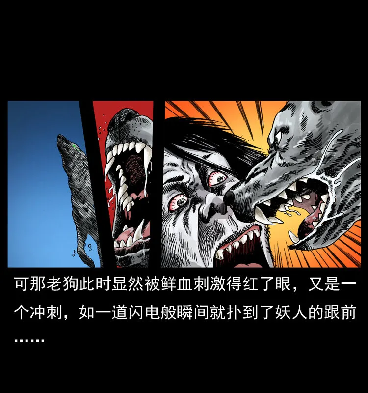 048 刨尸狗传奇1 第54页