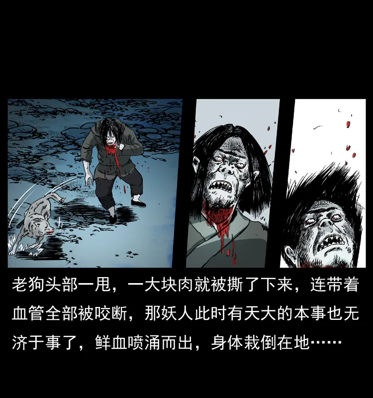 048 刨尸狗传奇1 第56页