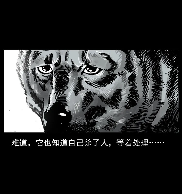 048 刨尸狗传奇1 第62页