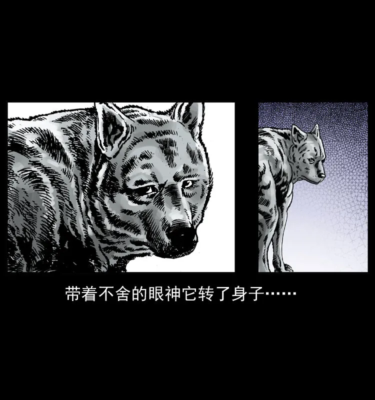 048 刨尸狗传奇1 第70页