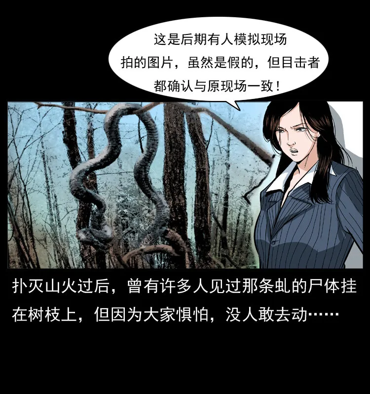 047 接龙骨 第28页