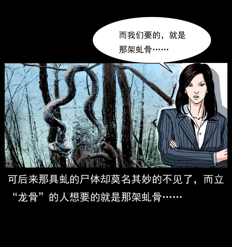 047 接龙骨 第29页