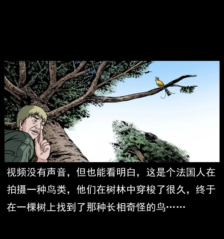 047 接龙骨 第33页