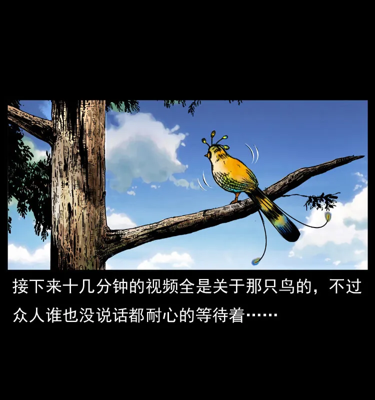 047 接龙骨 第34页