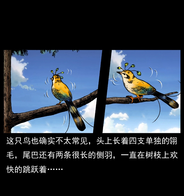 047 接龙骨 第35页
