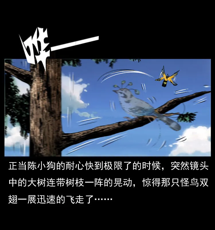 047 接龙骨 第36页
