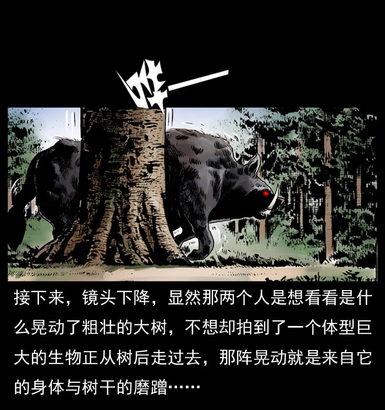 047 接龙骨 第37页
