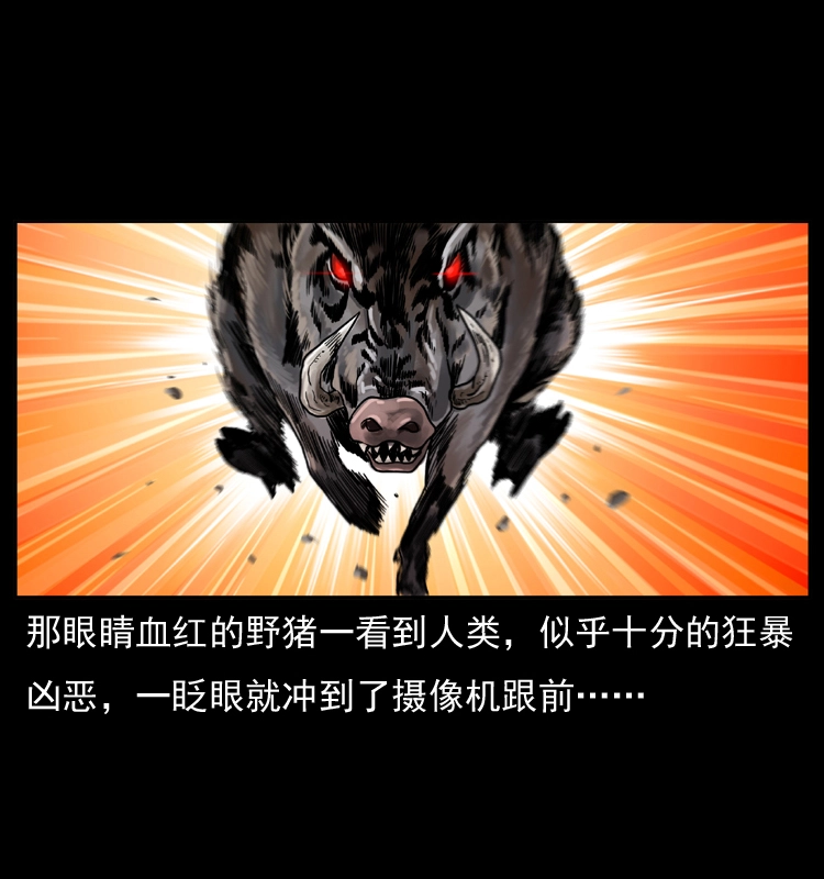 047 接龙骨 第39页