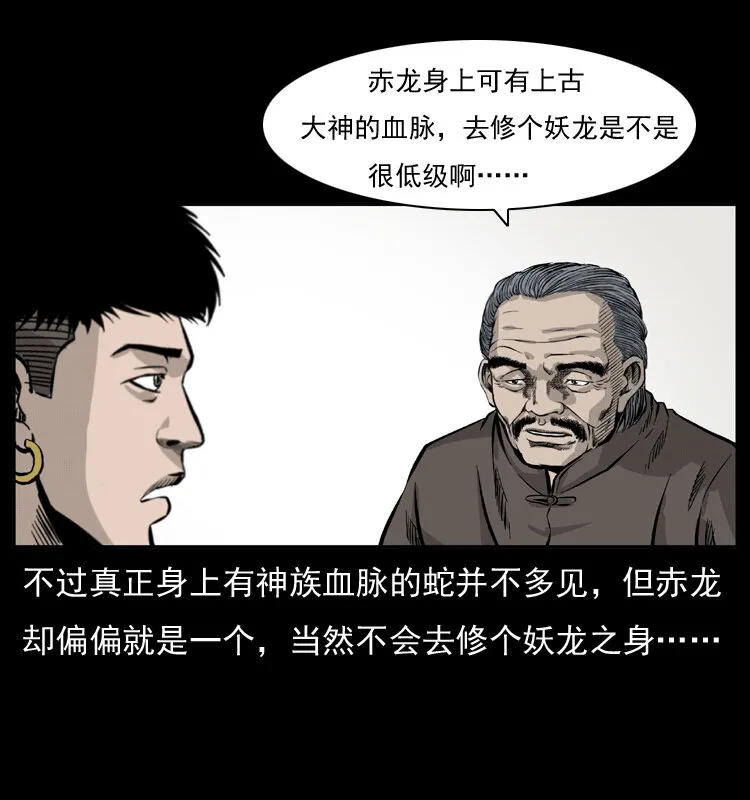 051 赤龙之仙儿 第62页