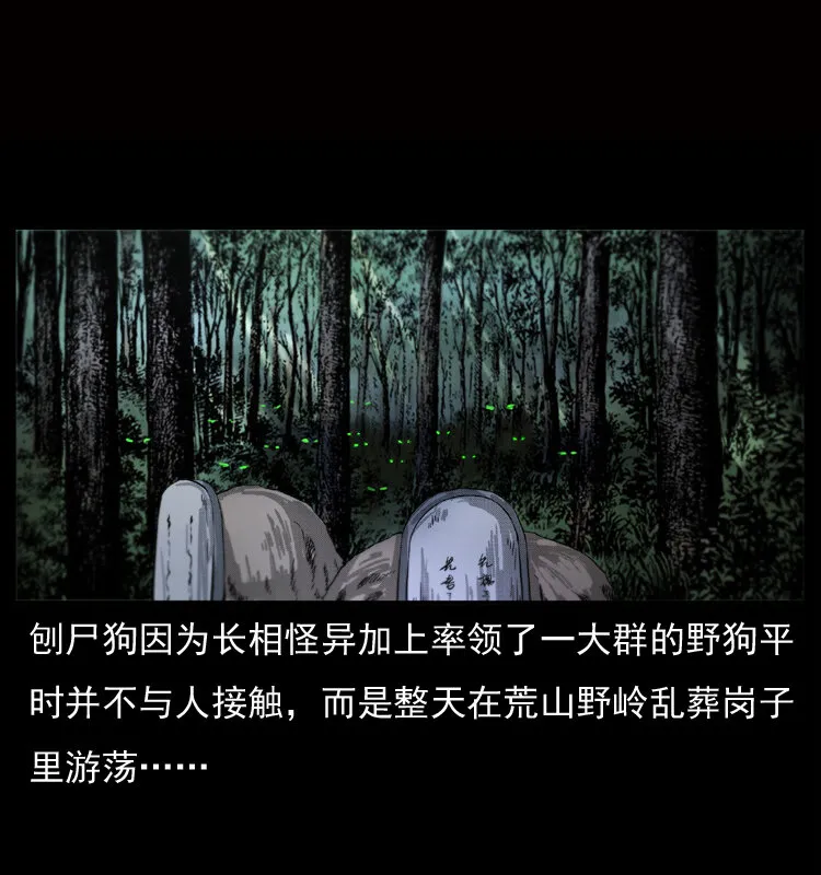 050 刨尸狗传奇3 第3页