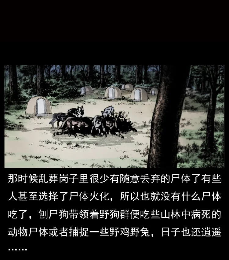 050 刨尸狗传奇3 第4页