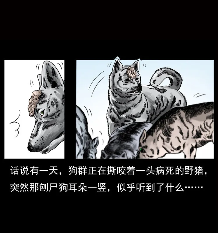 050 刨尸狗传奇3 第5页