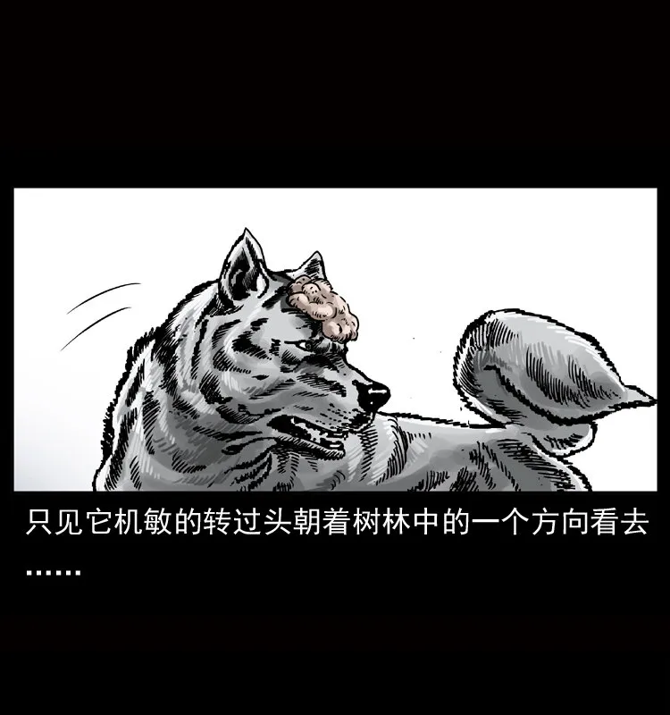 050 刨尸狗传奇3 第6页