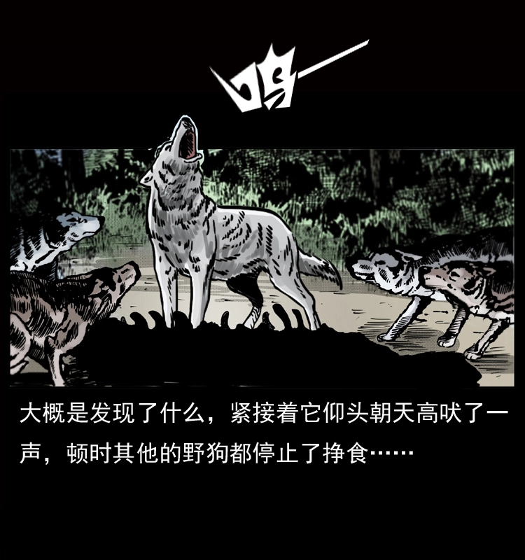 050 刨尸狗传奇3 第7页