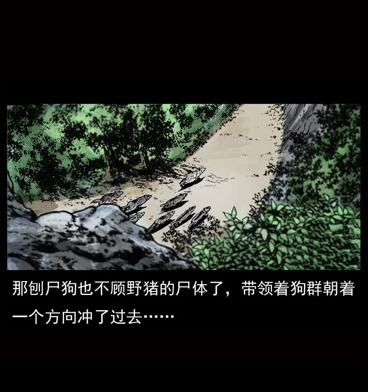 050 刨尸狗传奇3 第8页