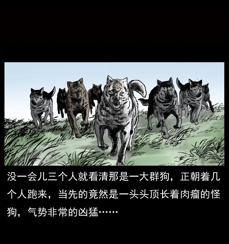 050 刨尸狗传奇3 第30页