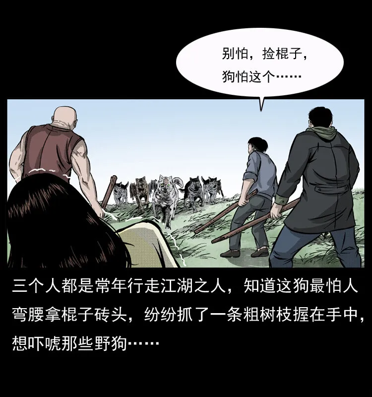 050 刨尸狗传奇3 第31页