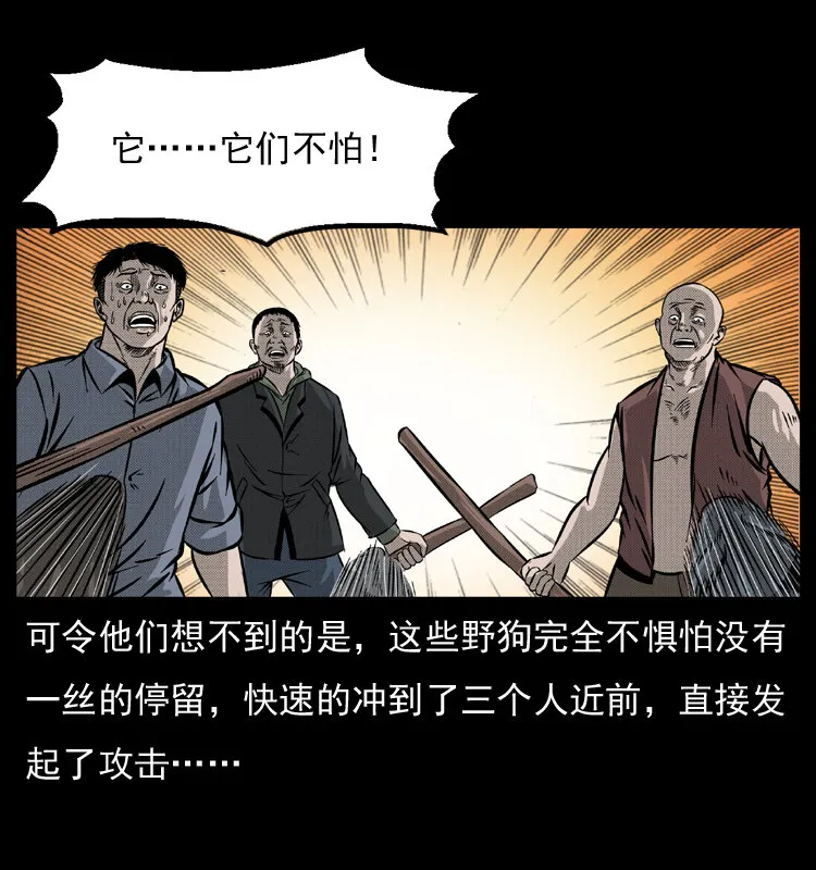050 刨尸狗传奇3 第32页