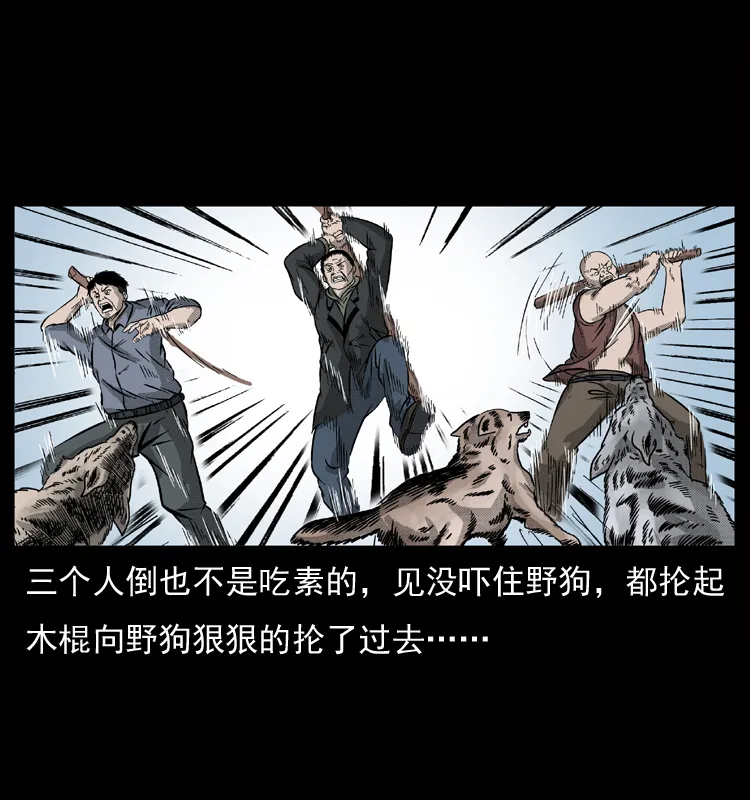 050 刨尸狗传奇3 第33页