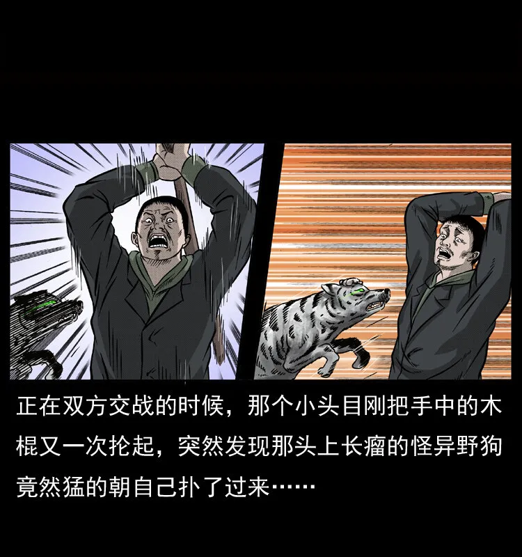 050 刨尸狗传奇3 第35页
