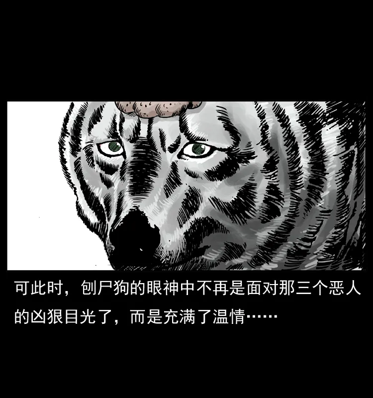 050 刨尸狗传奇3 第42页