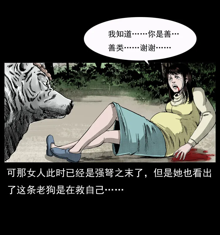 050 刨尸狗传奇3 第44页
