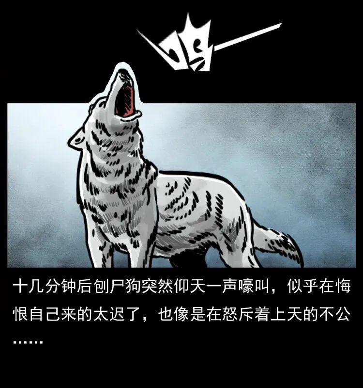 050 刨尸狗传奇3 第48页