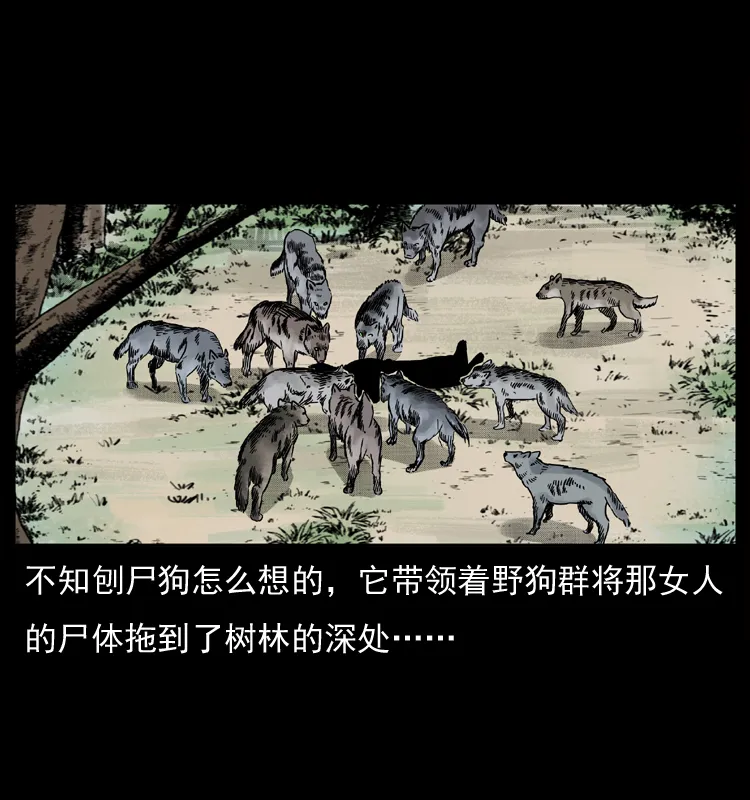 050 刨尸狗传奇3 第49页