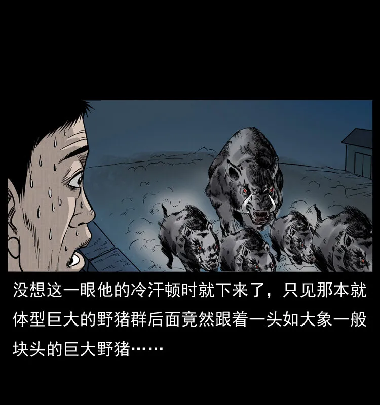 054 安徽之行 第77页