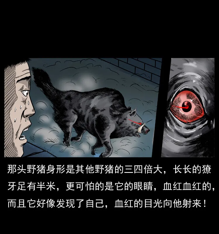 054 安徽之行 第78页
