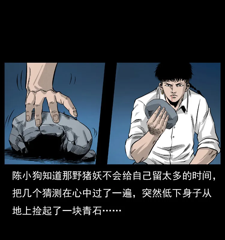 057 大战野猪妖 第5页